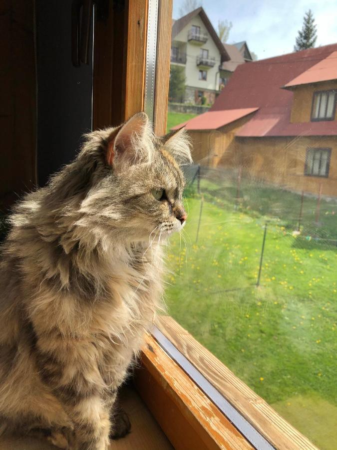Apartmán Bukowy Gosciniec Poronin Exteriér fotografie